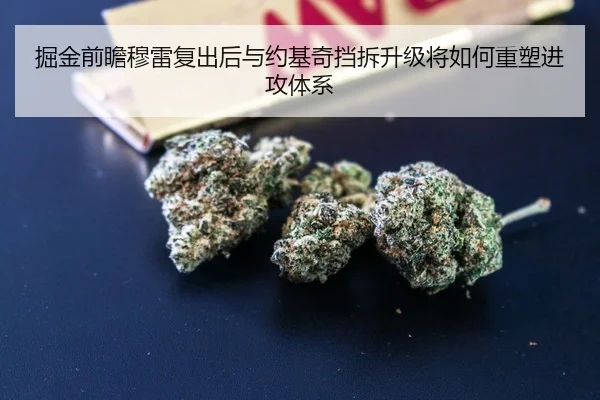 掘金前瞻穆雷复出后与约基奇挡拆升级将如何重塑进攻体系
