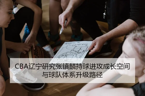 CBA辽宁研究张镇麟持球进攻成长空间与球队体系升级路径